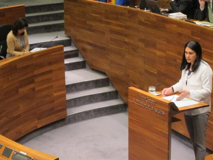La diputada de Foro Carmen Fernández, y la consejera, durante el pleno. 