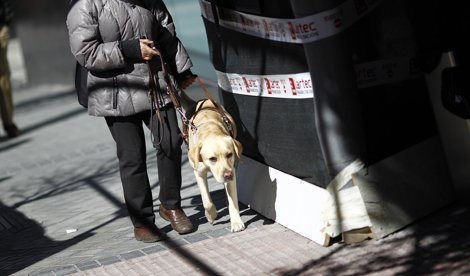 Cooperación y Desarrollo