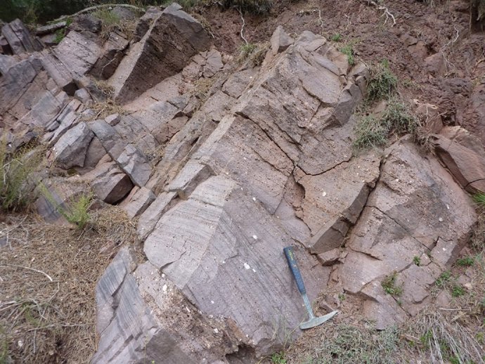 Roca del período Triásico