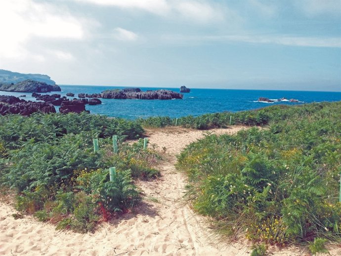 Ruta de la costa de Noja