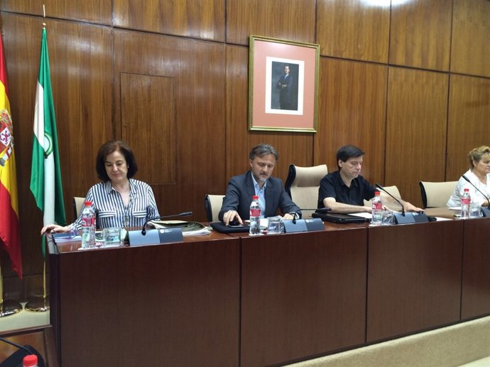 Comisión de Medio Ambiente y Ordenación del Territorio del Parlamento andaluz