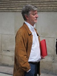 Santisteve cree que "puede haber una razón de peso" al admitir el TC el recurso