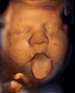 Feto estimulado por la voz materna