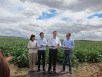 Rajoy visita una finca de alcachofas en Tudela y dice que le "emociona" el enorme esfuerzo del sector de la agricultura