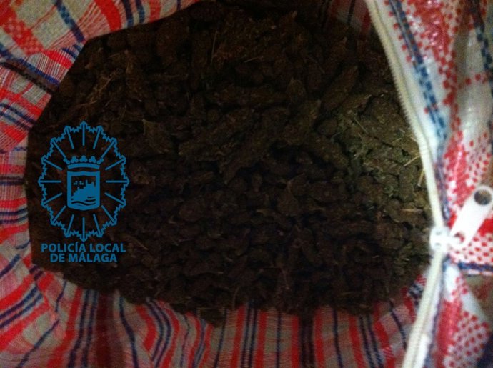Marihuana incautada por la Policía Local de Málaga
