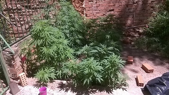 Created with Nokia Smart Cam