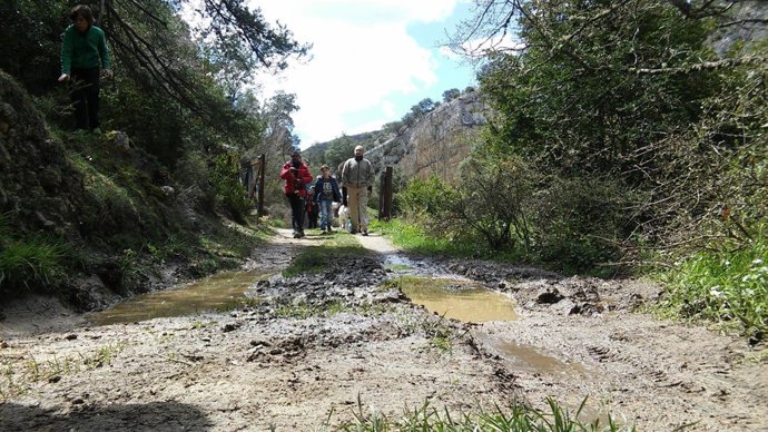 Itinerarios verdes por Álava