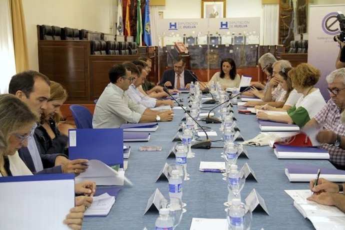 Pleno del CES en Diputación de Huelva.