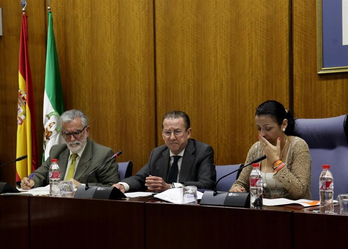 Comparecencia del consejero de Justicia e Interior, Emilio de Llera, en comisión