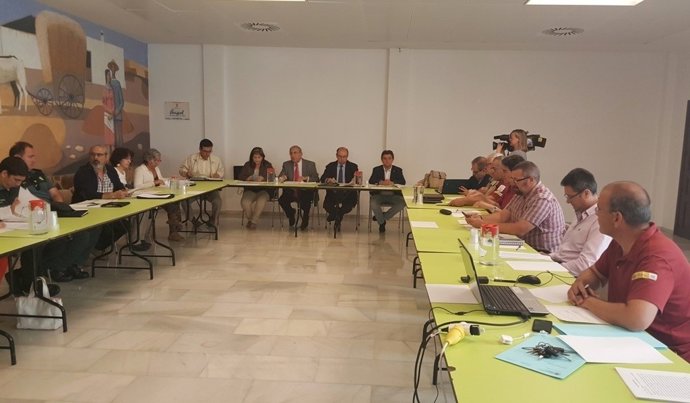 Patronato del P.N de Tablas de Daimiel