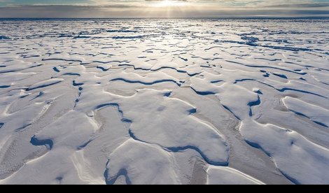 Cooperación y Desarrollo