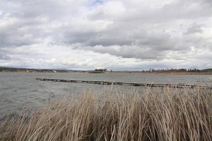 Pantano de Cazalegas, Agua, Nubes, juncos