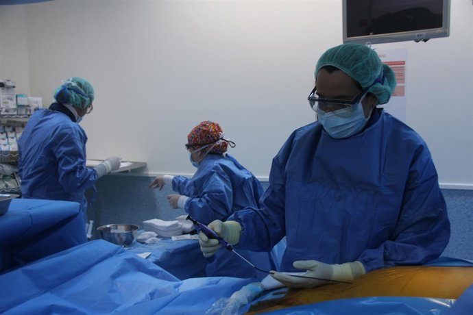 Información De Interés Del Área De Salud II