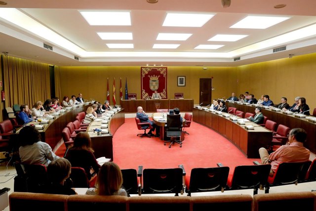 NP El Pleno Del Ayuntamiento De Albacete Aprueba Por Unanimidad El Nuevo Reglame
