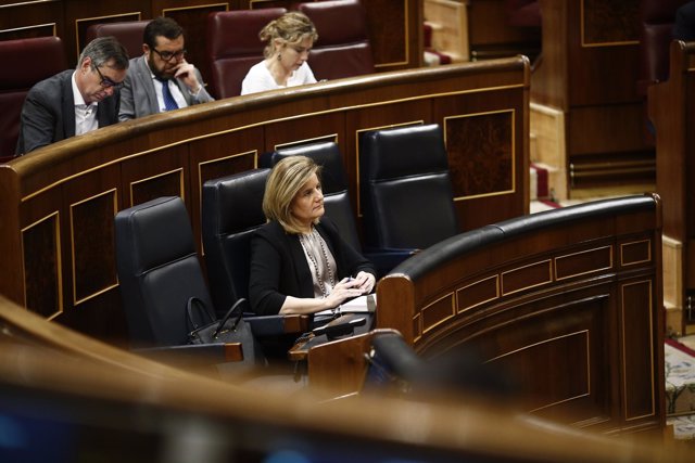 Fátima Báñez en el Congreso de los diputados