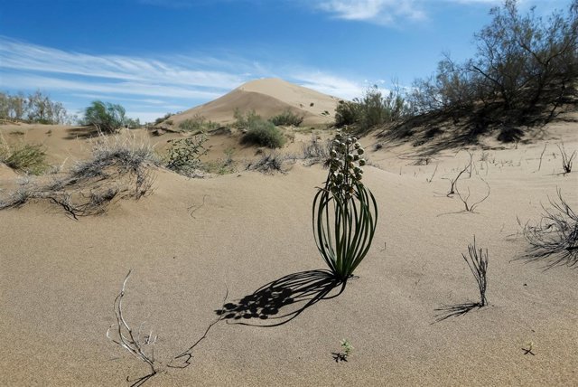 El Seminario Internacional ISSREC se celebrará los días 20 y 21 de junio