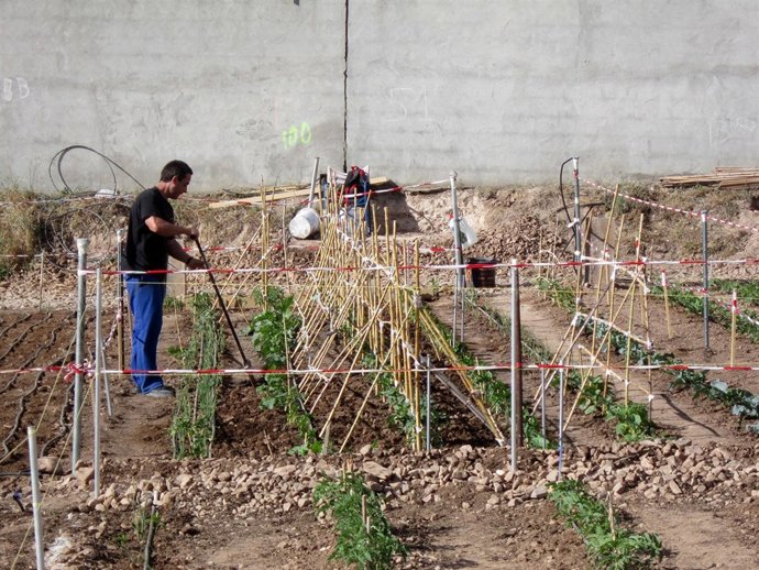 Comunicación Ayto. Villacañas