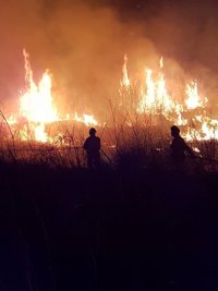 Buscan al responsable de los cinco incendios provocados esta madrugada en Riba-roja, ya apagados