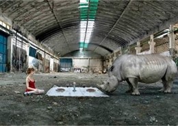 Una de las obras de la exposición 'La Diputación y el arte'