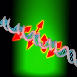 Método de imagen revela detalles sobre el ADN