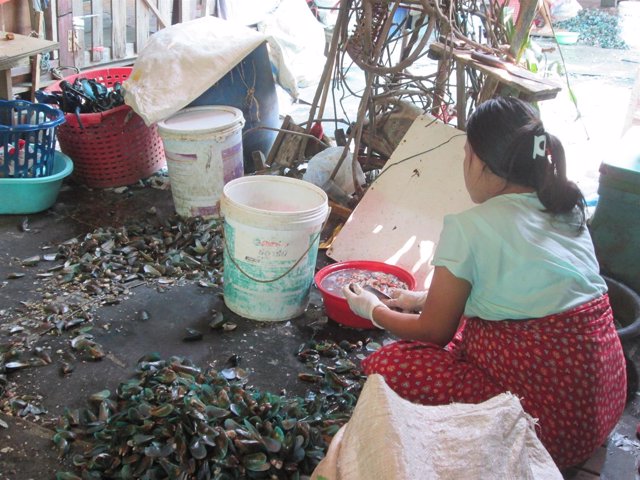 Refugiada karen en Tailandia trabajando con mejillones