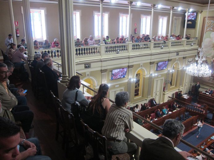 Afectados por los 'casos de bebés robados' en el Parlamento de Canarias