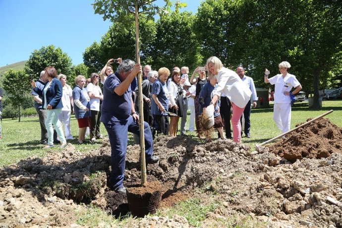 Plantación de arbol de Gernika