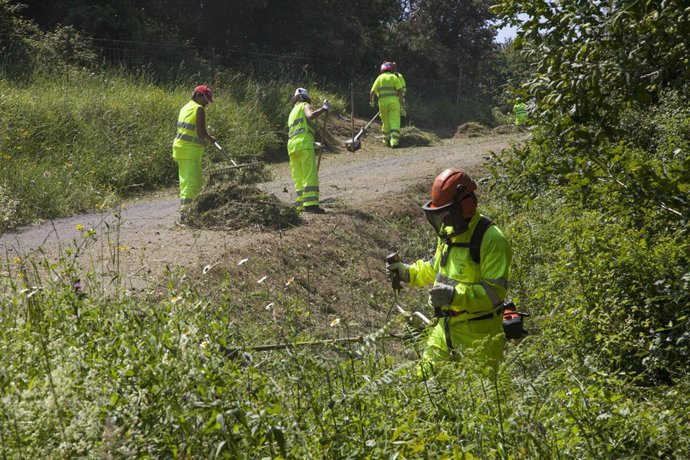 Trabajadores municipales limpian el Monterín de Igollo 