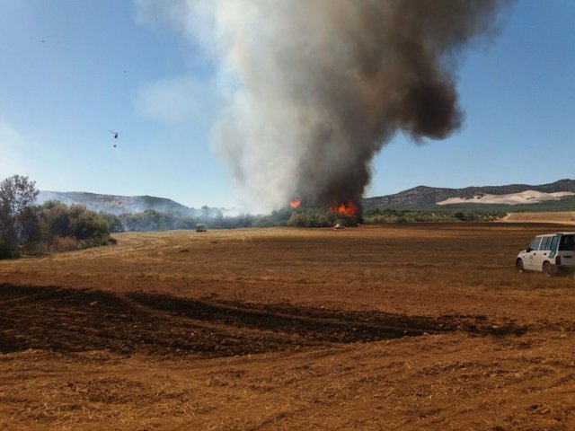 Imagen del incendio en Aguilar