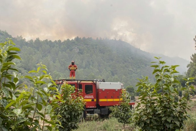 Imagen del incendio en Carcaixent cuando aún estaba activo