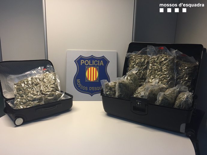 Un detenido por llevar 11 kilos de marihuana en autocar de Benidorm a Holanda