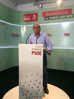 El secretario de Organización del PSOE-A, Juan Cornejo