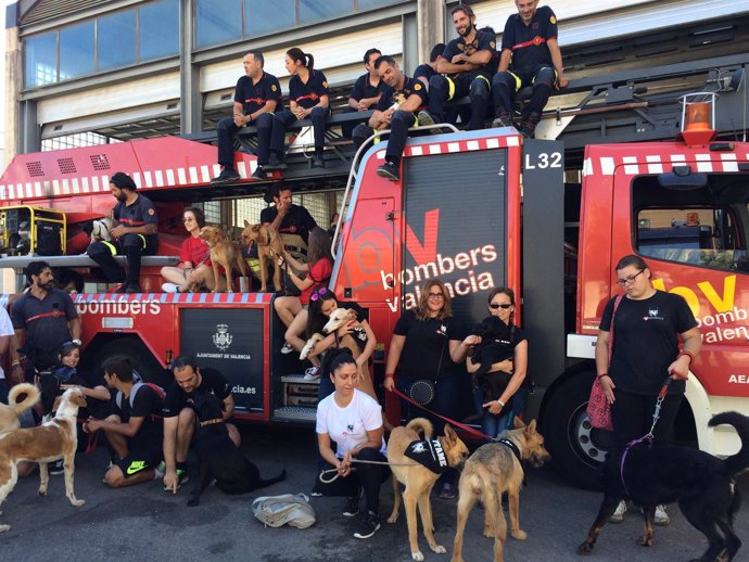 Bomberos de Valencia apoyan una campaña contra el abandono animal
