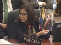 Canciller venezolana rechaza el monitoreo y la intervención de la OEA en el país