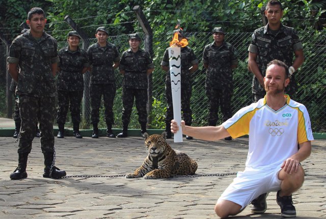 Juma, el jaguar exhibido durante el paso de la antorcha olímpica