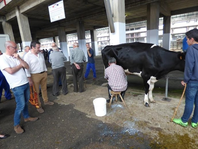 Felisuco en el Ferial de Torrelavega 