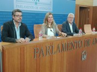 PP-A critica el "silencio" de Díaz y el resto de grupos sobre el "clan de los tiesos"
