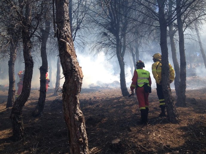 La UME ejercita la técnica del fuego controlado con el personal del Cabildo
