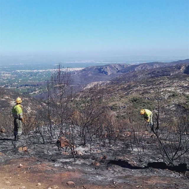 Brigadas refrescando la zona afectadas por el incendio de Carcaixent