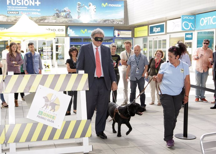Empleados de Telefónica participan en una exhibición de perros guía de la ONCE 