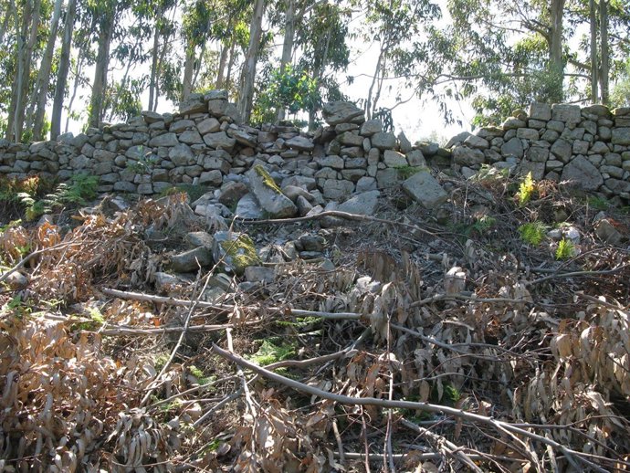 Daños en el yacimiento arqueológico de Arteixo (A Coruña)