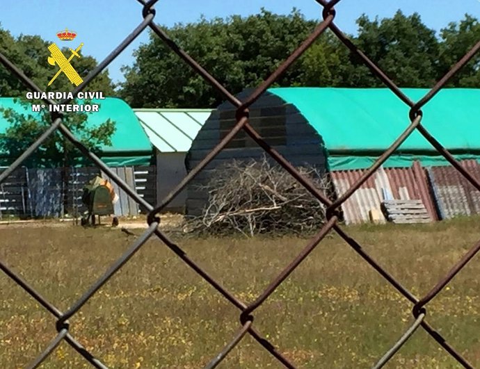 Uno de los montones de leña