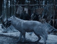 Juego de tronos explica por qué no vimos a Fantasma en La Batalla de los Bastardos