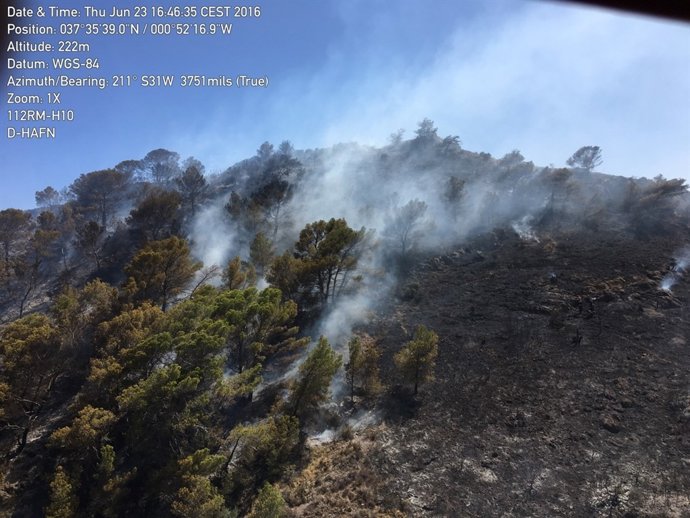 Incendio forestal en Portmán (La Unión)