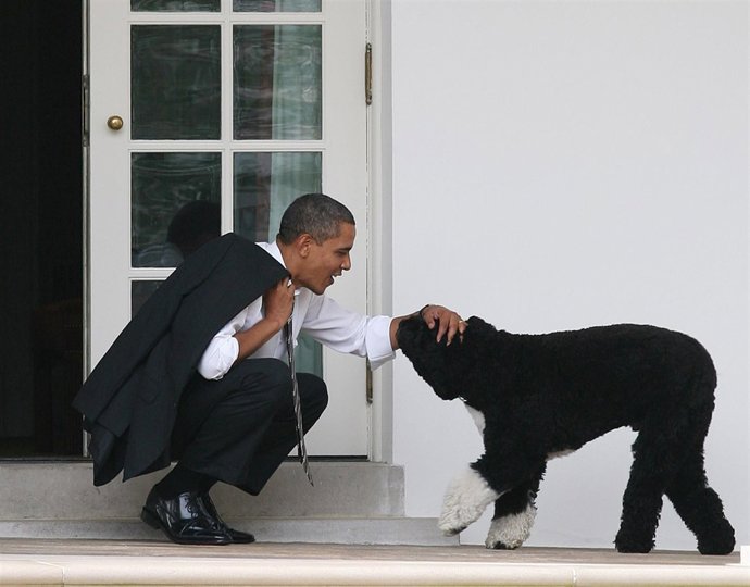  Barack Obama Con Su Perro/ Getty