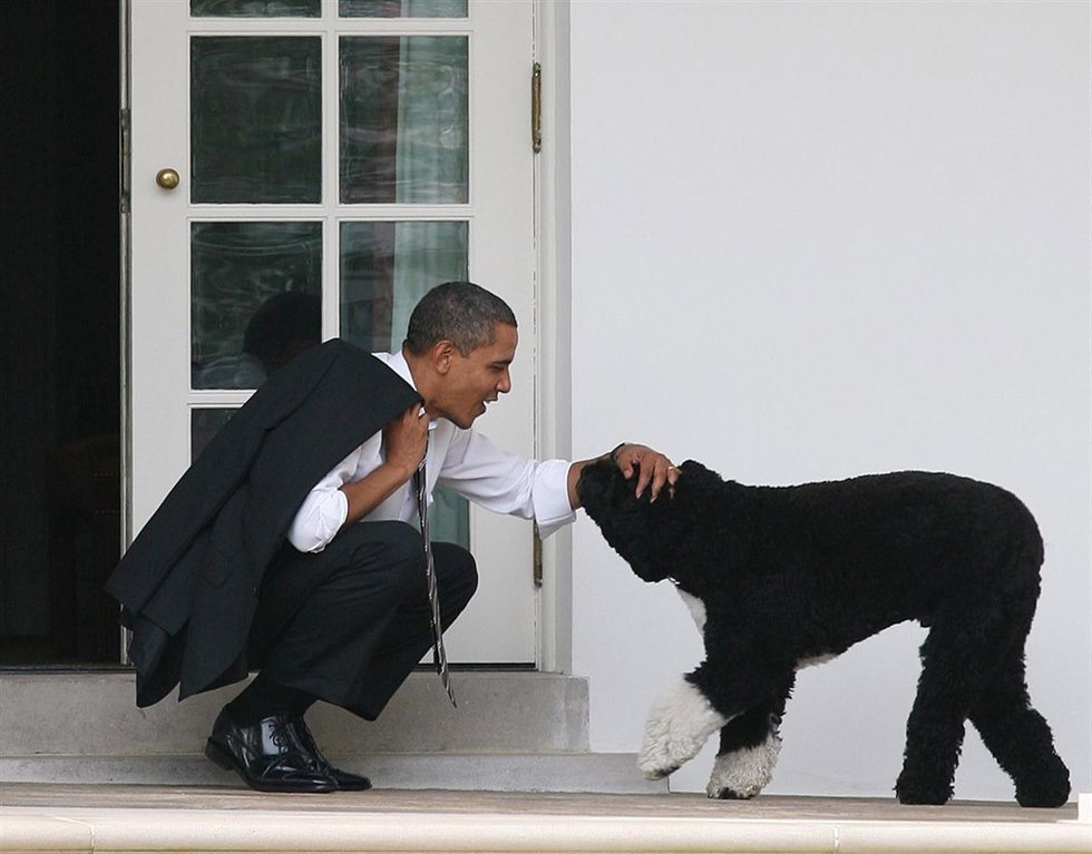  Barack Obama Con Su Perro/ Getty