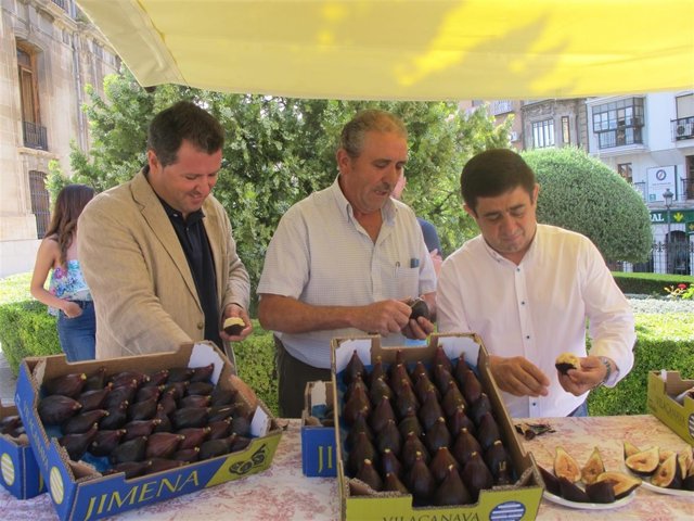 Presentación de la IV Muestra de la Breva de Jimena
