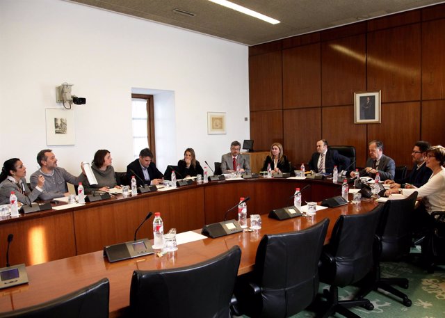 Reunión de la comisión de investigación sobre formación