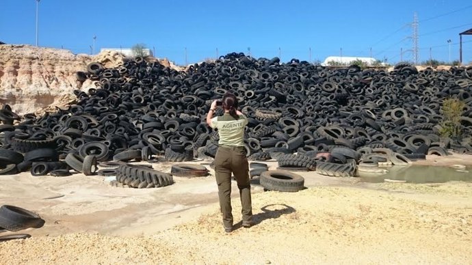 Agente de Medio Ambiente controla vertedero de neumáticos.