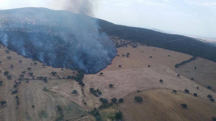 Incendio forestal declarado en Fuente Obejuna (Córdoba)